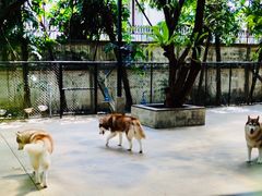 -TrueLove @ Neverland (Husky Cafe)