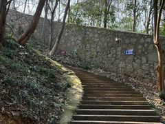 -赭山公园