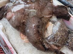 -芦潮港集贸市场