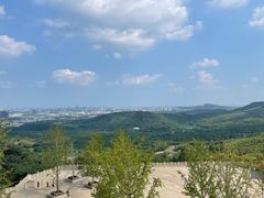 -牛首山文化旅游区