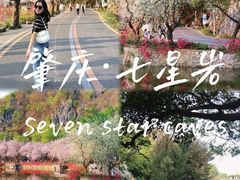 -星湖旅游景区七星岩