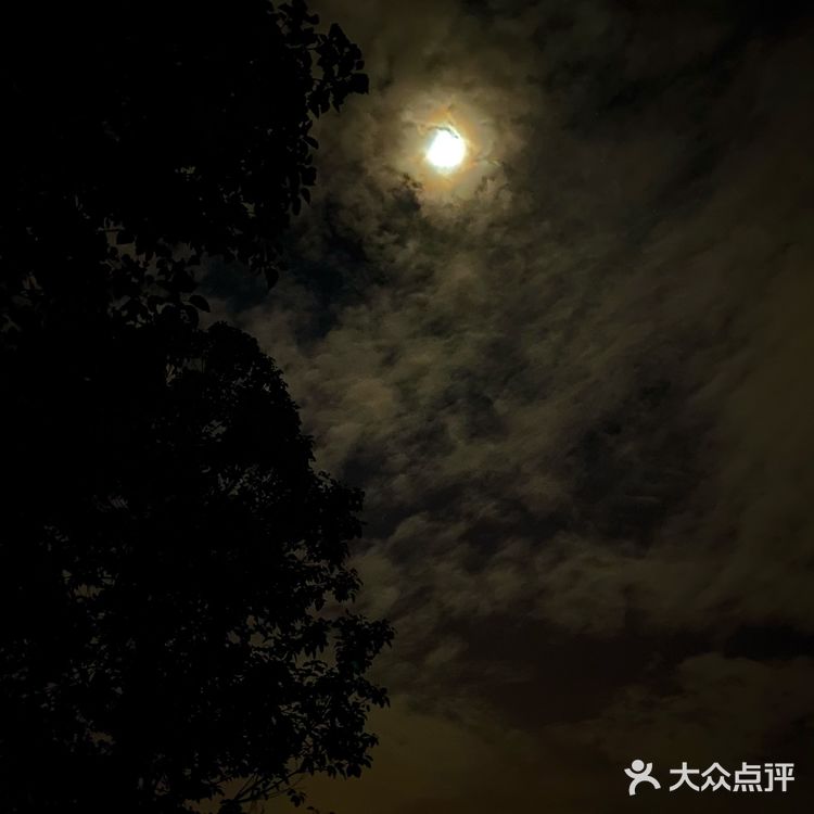 ✨深圳最美夜景🌃浪漫之地