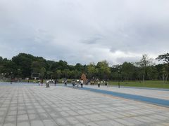 -中山市树木园