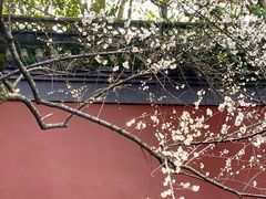 -钱王祠