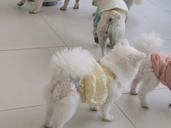 -怪兽屋·羊驼·猫咖·狗咖(俊华广场店)