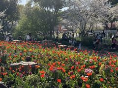 -苏州上方山国家森林公园