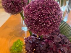 -金湖港式餐厅(建外店)