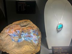 -湖南省地质博物馆