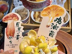 -菌自由丨野生菌火锅特色庭院餐厅(丽江古城店)