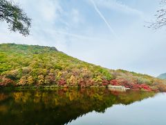 -龙道沟景区