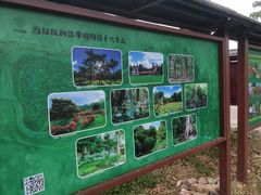 -中国科学院西双版纳热带植物园