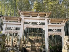 -午潮山国家森林公园