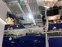 -兰湘子·湘菜小炒(石家庄万象城店)