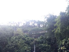 -鲤鱼塘农家山庄