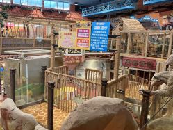 -卡通尼·Safari非洲探索乐园·生日会(金桥国际商业广场店)