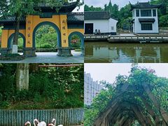 -中华恐龙园