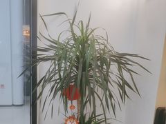 -雲己推拿院·养生SPA(江北龙湖天街店)