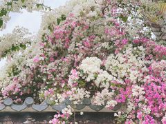 -深圳国际园林花卉博览园