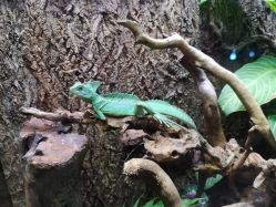 -酷嗒动物文化乐园(cutezoo西溪乐天城店)