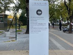 -三里屯东五街银杏大道