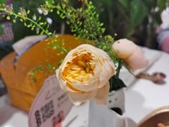 -桂满陇·江南小馆·蟹黄小笼汤包(清河万象店)