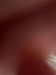 -莫莉幻想儿童乐园(郑州丹尼斯三天地店)