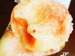 -老袁家蜜桃农场·阳山水蜜桃