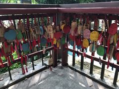 -白云山风景名胜区
