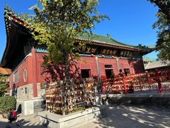-天津大悲禅院