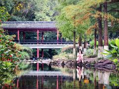 -重庆彩云湖湿地公园