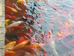 -泰安地下龙宫景区