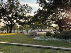-洲头咀公园