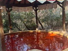 -天目湖涵田半山温泉