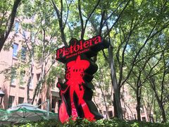 -Pistolera Mexican Cantina女枪手墨西哥餐厅(碧云路店)