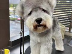 -宠宠熊宠物美容(星湖街店)