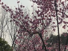 -白塘生态植物园