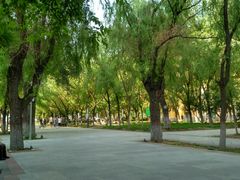 -哈尔滨师范大学(江南校区)