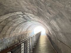 -白水寺森林公园
