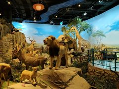 -陕西自然博物馆