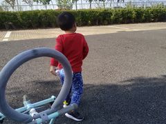 -春花秋色城市公园