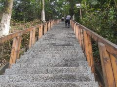 -云碧峰国家森林公园