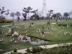 -紫颐香薰山谷景区