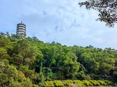 -深圳国际园林花卉博览园