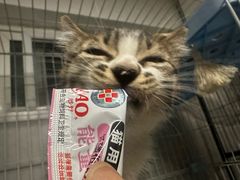 -柏萃动物医院·骨科·牙科