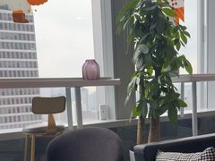 -马泷齿科·成都锦江置略马泷口腔门诊部(IFS国金中心店)