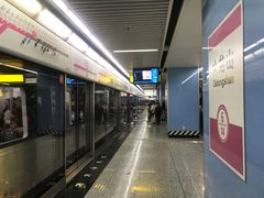 -大龙山(地铁站)