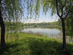-贡湖湾湿地公园