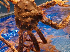 -驻海渔市(置信店)