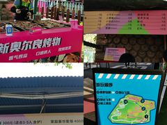 -盈香心动乐园
