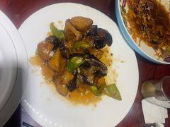 -邵年鸽(杨庄店)